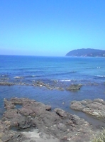写真1