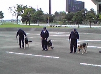 写真2