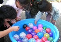 写真1