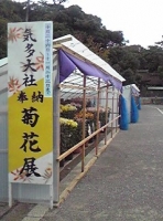 写真1