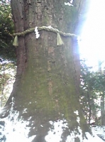 写真2