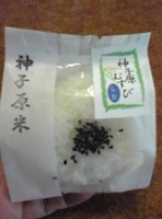 写真1