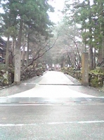 写真1