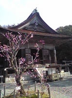 写真2