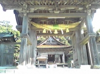 写真1