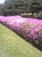 写真2