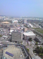 写真2