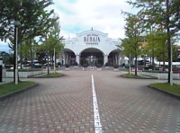 写真1