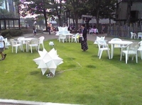 写真2