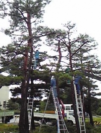 写真