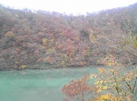 写真2