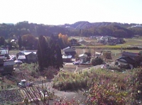 写真1
