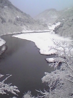 写真2