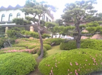 写真1