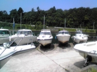 写真2