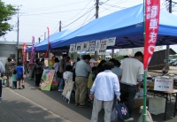写真1