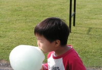 写真1