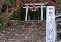 写真1