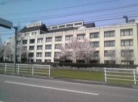 写真1