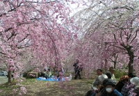 写真1
