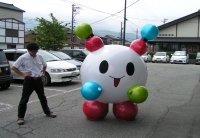 写真