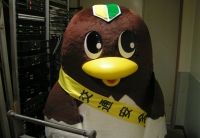 写真2
