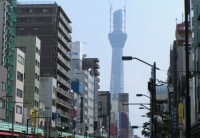 写真1