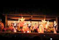 写真1