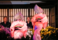 写真1