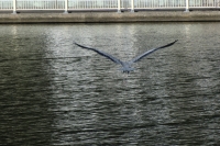 写真2