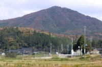写真1