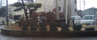 写真2