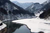 写真2