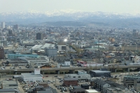 写真2