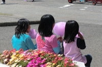 写真1