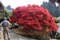 写真1