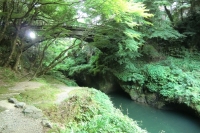 写真2