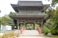 写真1