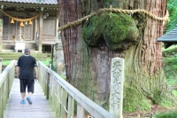 写真1