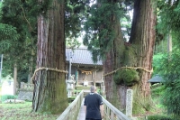 写真2