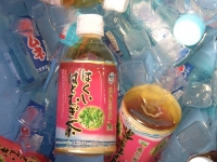 写真1