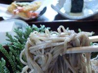 写真2
