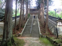 写真1