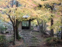 写真2