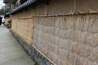写真2