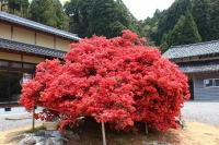 写真1