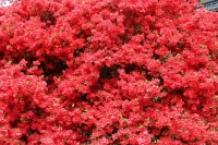 写真2