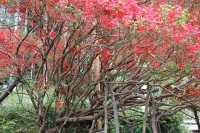 写真2