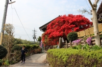 写真1