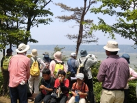 写真2